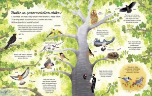 Kniha lesa