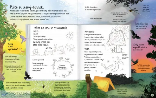 Kniha lesa