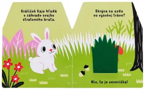 Hra na skrývačku Králiček