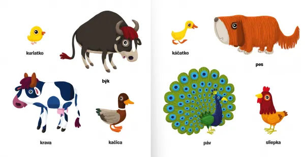 Kde si? Kto si? Zvieratá na farme