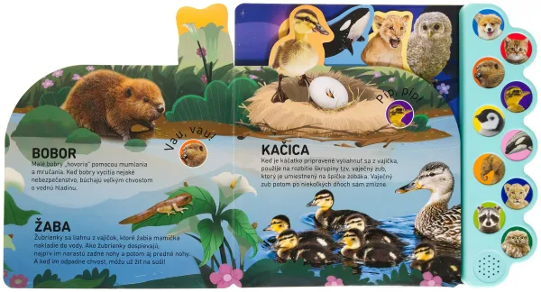 Haf! Mňau! Vypočujte si mláďatá z celého sveta!