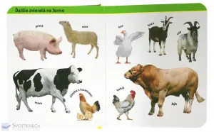Moja obrázková knižka Farma