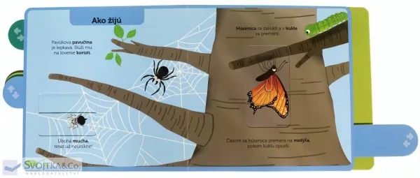 Hmyz Moja knižka s pohyblivými prvkami