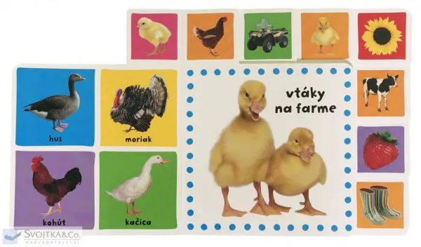 Farma