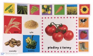 Farma