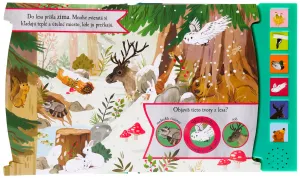 Hlučný les - Objavujeme