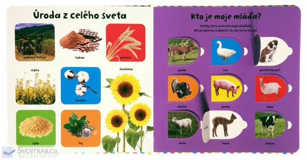 Pozri sa pod okienko - Farma 100 prvých slov