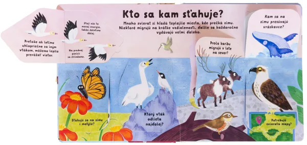 Kuk pod okienko - Čo robia zvieratá v zime? Prvé otázky a odpovede