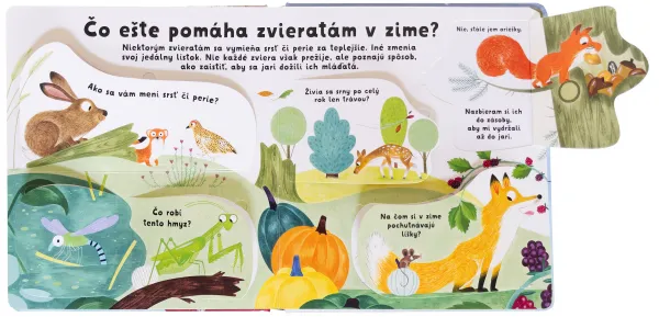 Kuk pod okienko - Čo robia zvieratá v zime? Prvé otázky a odpovede