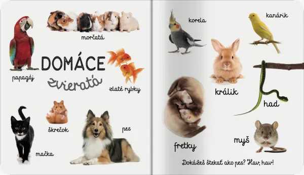 Domáce zvieratá Prvé slová