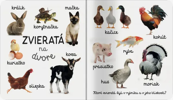 Domáce zvieratá Prvé slová