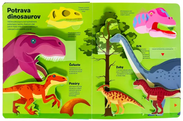 Dinosaury v pohybe
