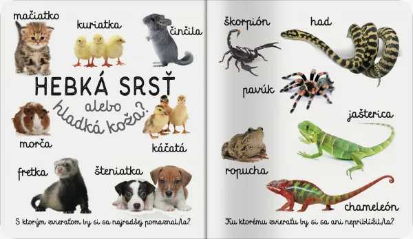 Domáce zvieratá Prvé slová