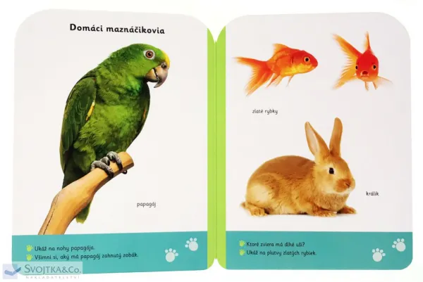 Malé kroky Zvieratá 12+ mesiacov