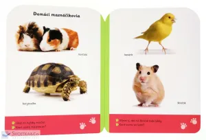 Malé kroky Zvieratá 12+ mesiacov