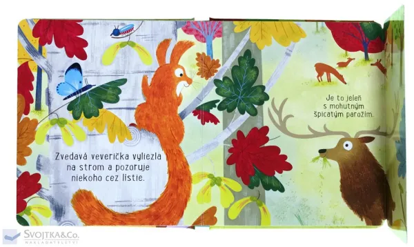 V lese – Čo veverička videla?