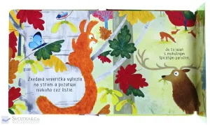 V lese – Čo veverička videla?