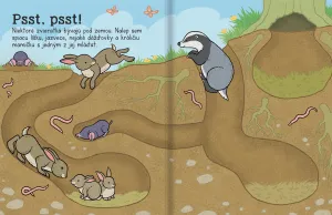 Zvieratá - Kniha plná samolepiek