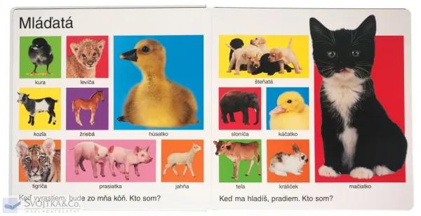 Veľké leporelo zvierat