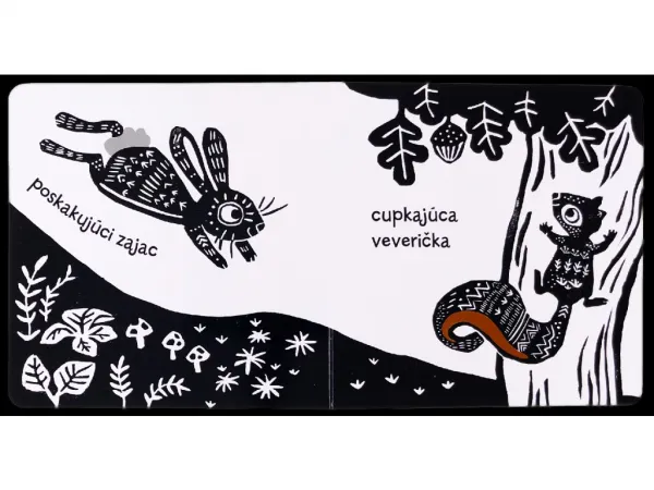 Zvieratá