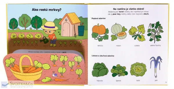 Vysvetli mi, prečo slimák nemá nožičky? Moje prvé otázky o záhrade