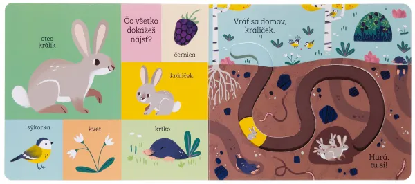 Vráť sa domov, králiček