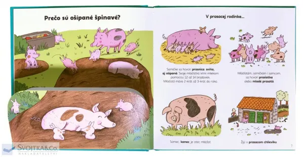 Vysvetli mi, prečo krava dáva mlieko? Moje prvé otázky o farme
