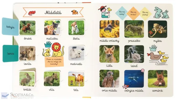 Veľká kniha – Zvieratá z celého sveta