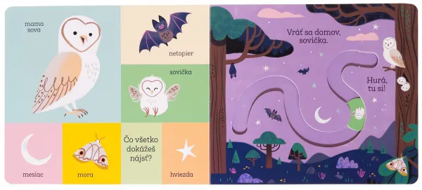 Vráť sa domov, králiček