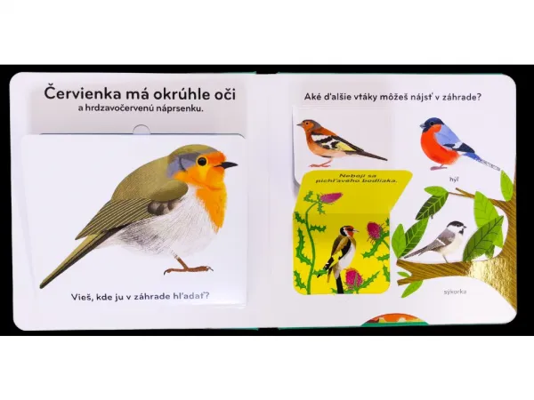 V záhrade - Pohyblivá kniha