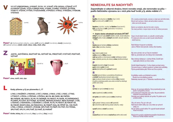 Stručný prehľad slovenskej gramatiky (nielen) pre školákov