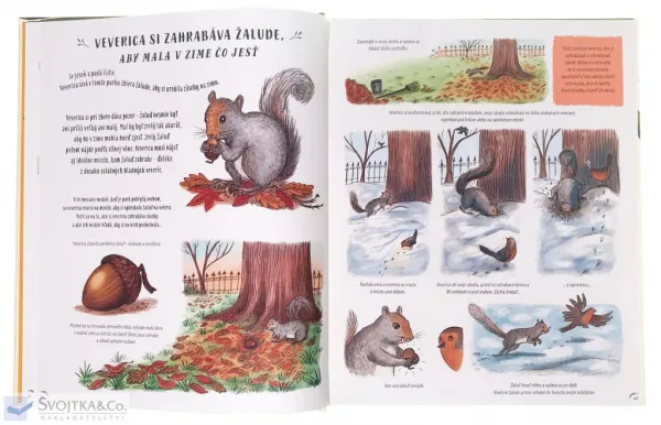 Spomaľ a pozoruj