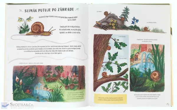 Spomaľ a pozoruj