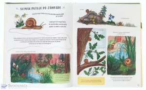 Spomaľ a pozoruj