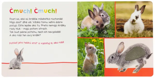 Roztomilé zvieratá - Počúvaj, kto to môže byť?