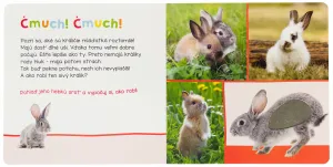 Roztomilé zvieratá - Počúvaj, kto to môže byť?