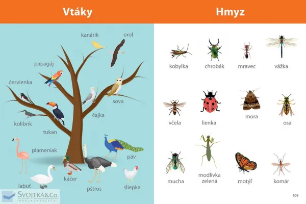 Môj veľký zošit Montessori Prvé slová