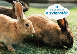 Spoznávame život na farme