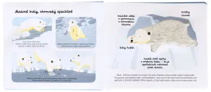 Spoznávaj dotykom - Zvieratá v zime