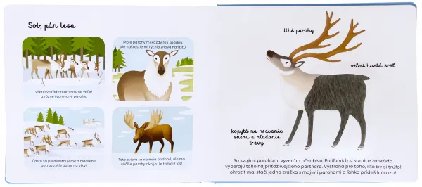 Spoznávaj dotykom - Zvieratá v zime