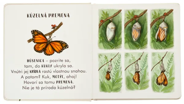 Spomaľ... na svojom prahu