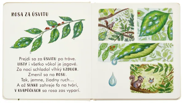 Spomaľ... na svojom prahu