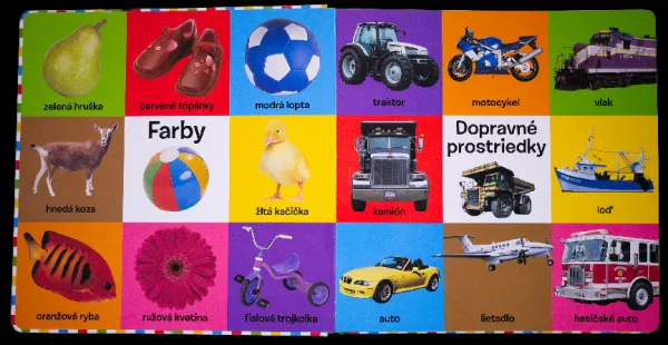 Prvých 100 slov pre malého šikovníka