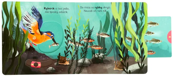 Veľké objavy pre malých objaviteľov - Pri rieke