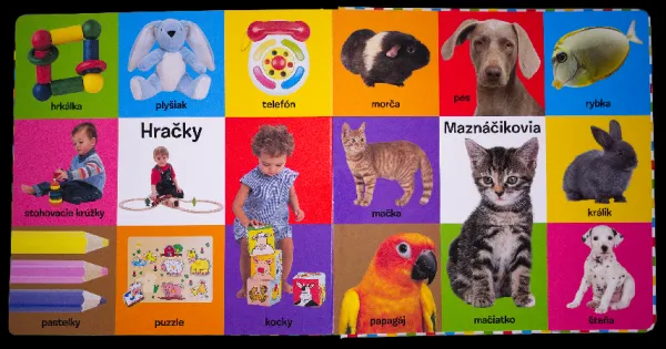 Prvých 100 slov pre malého šikovníka