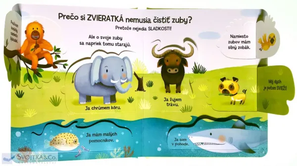 Prečo si musím čistiť zuby? - Kolektív autorov