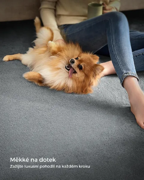 SONGMICS Protišmykový koberec DARVIN 200 x 290 cm svetlosivý