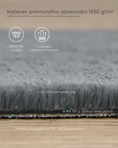 SONGMICS Protišmykový koberec DARVIN 200 x 290 cm svetlosivý