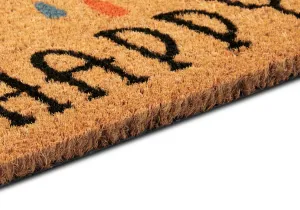 Hanse Home Collection koberce Rohožka Dúha 106199 - na von aj na doma - 40x70 cm