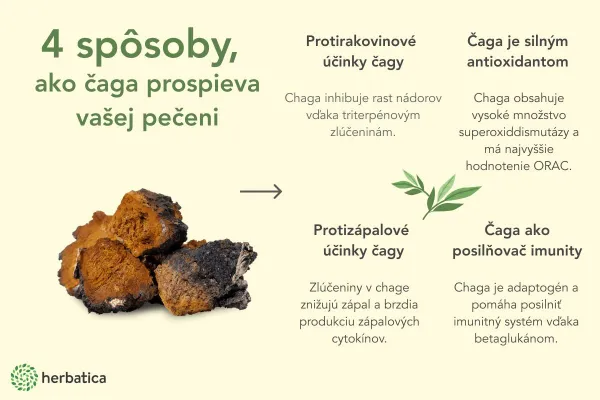 Čaga sibírska sušené kúsky (4-5 cm) - 200g - Herbatica
